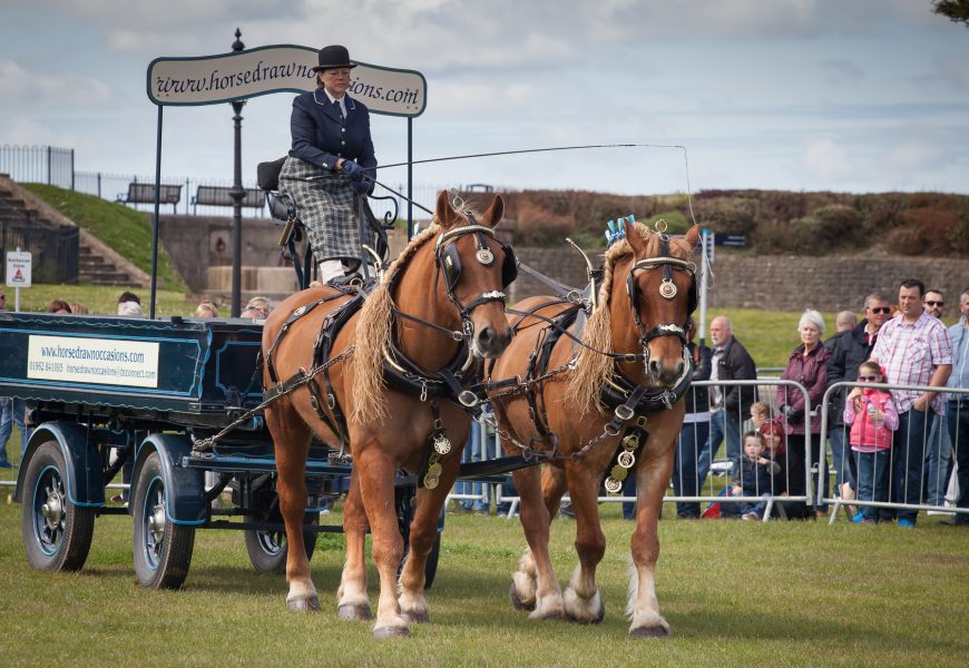 Portsmouth Rural and Seaside Show 2016